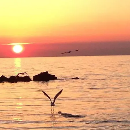 In Ostseebad Διαμέρισμα *