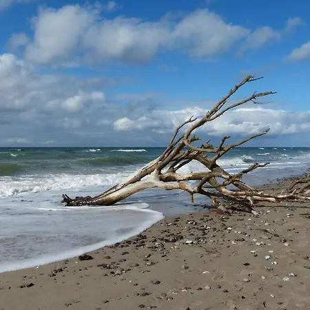 In Ostseebad Lägenhet