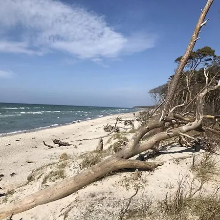 In Ostseebad Διαμέρισμα *